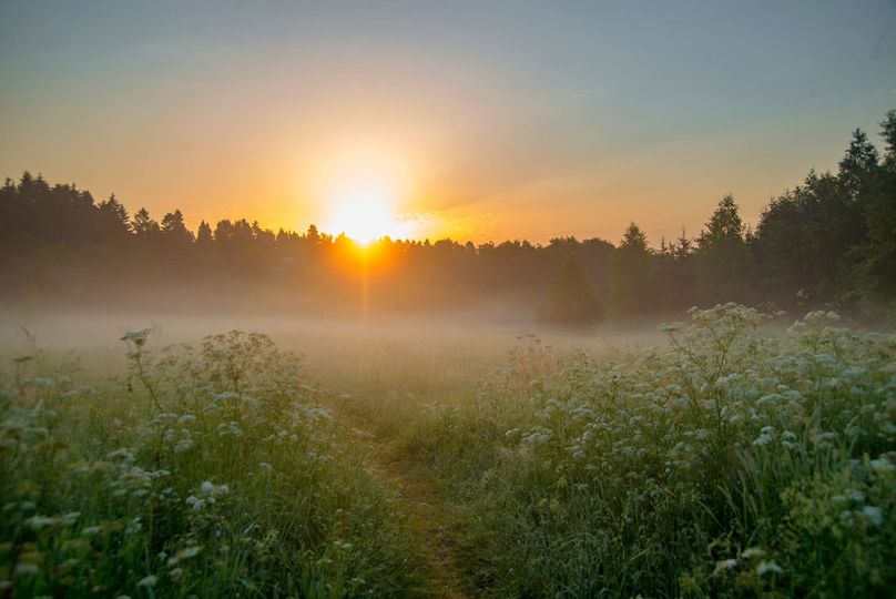 Всё равно окажемся в начале