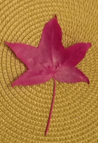 Нильская оптимистическая трагедия