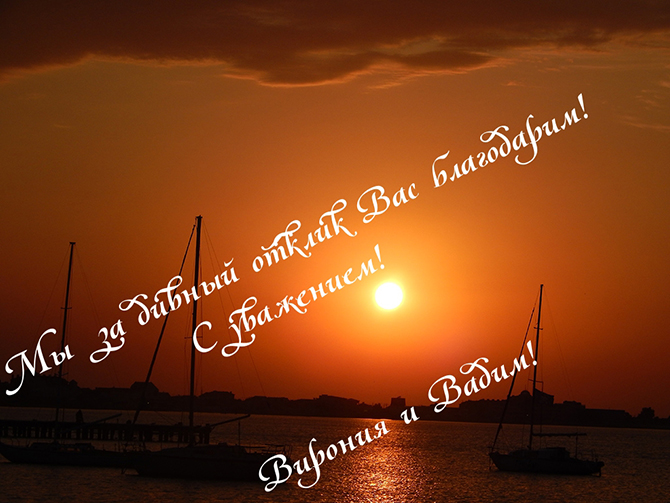 Кто виноват - друг ИнтерНет?!