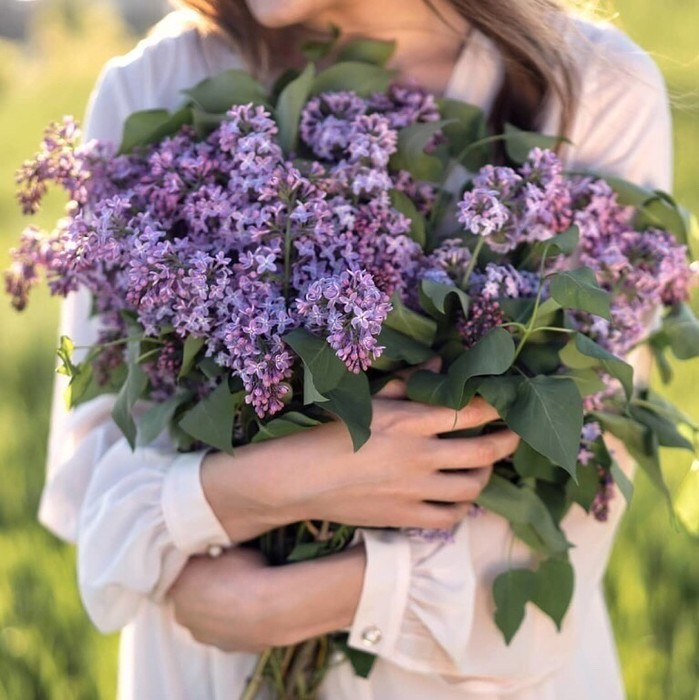 И скажет май..