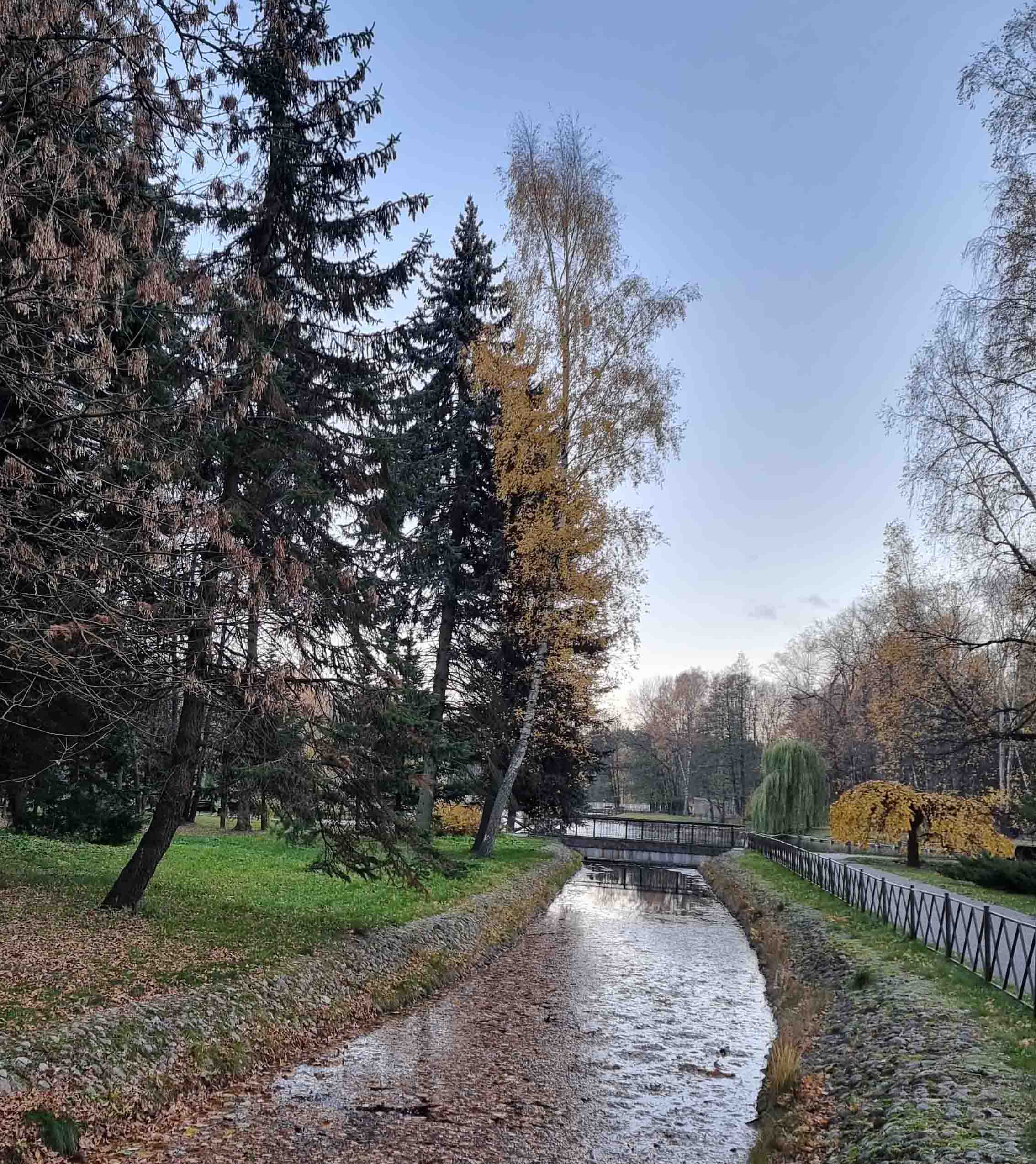Начертано в луже оранжевой краской