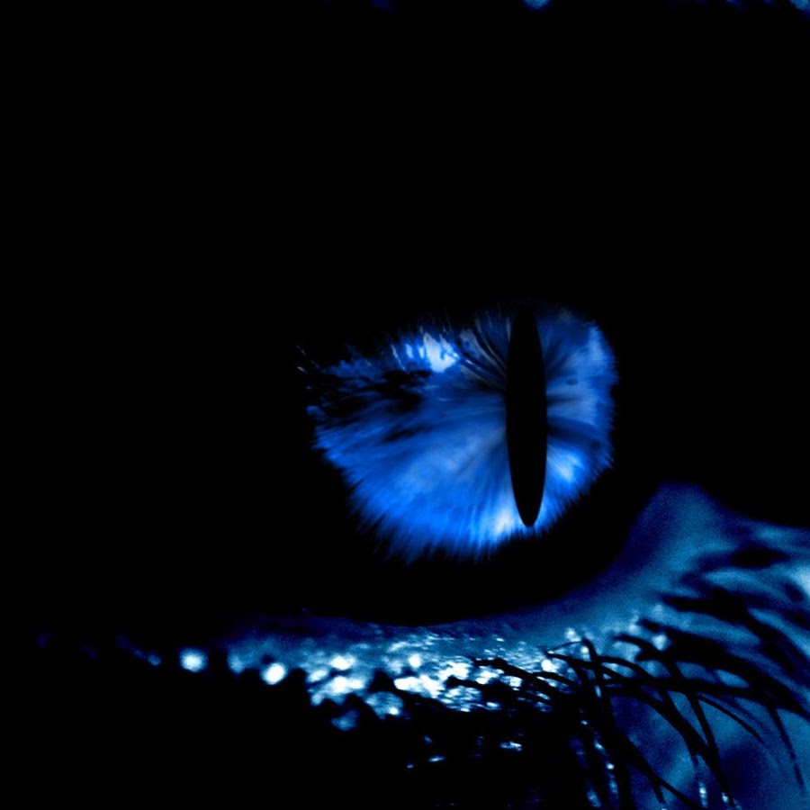 Большие глаза в темноте. Глаза в темноте. Взгляд из Темноты. Женские глаза в темноте. Глаза из Темноты