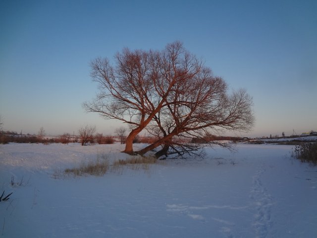 Страна с омертвевшими мыслями