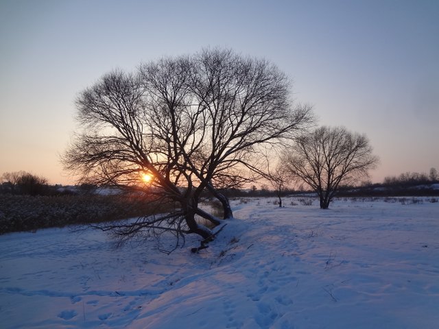 И останется память лишь в душах