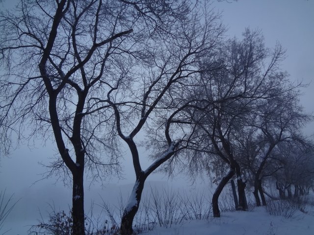 А ты бредешь в тумане вдаль бесцельно
