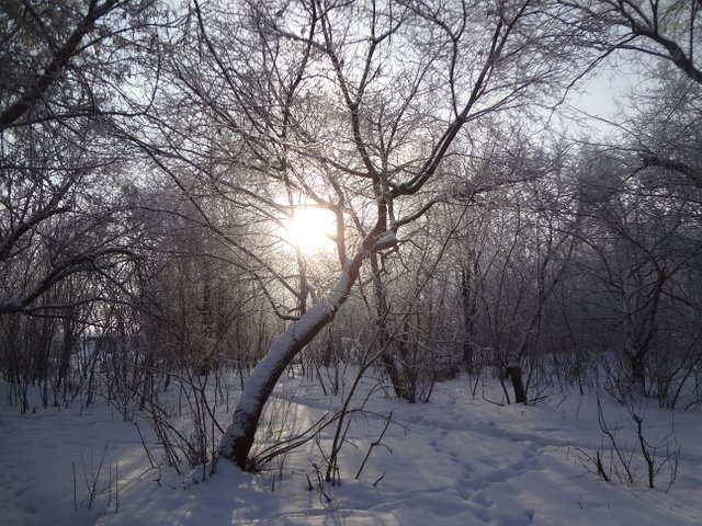 Мир сегодня в своей суете на распутье