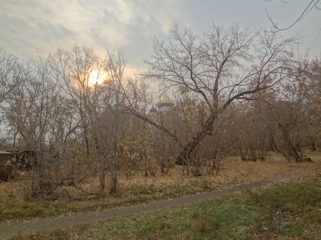 Театр абсурда