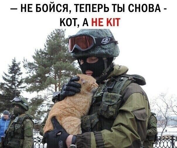 СВО. Аты Баты