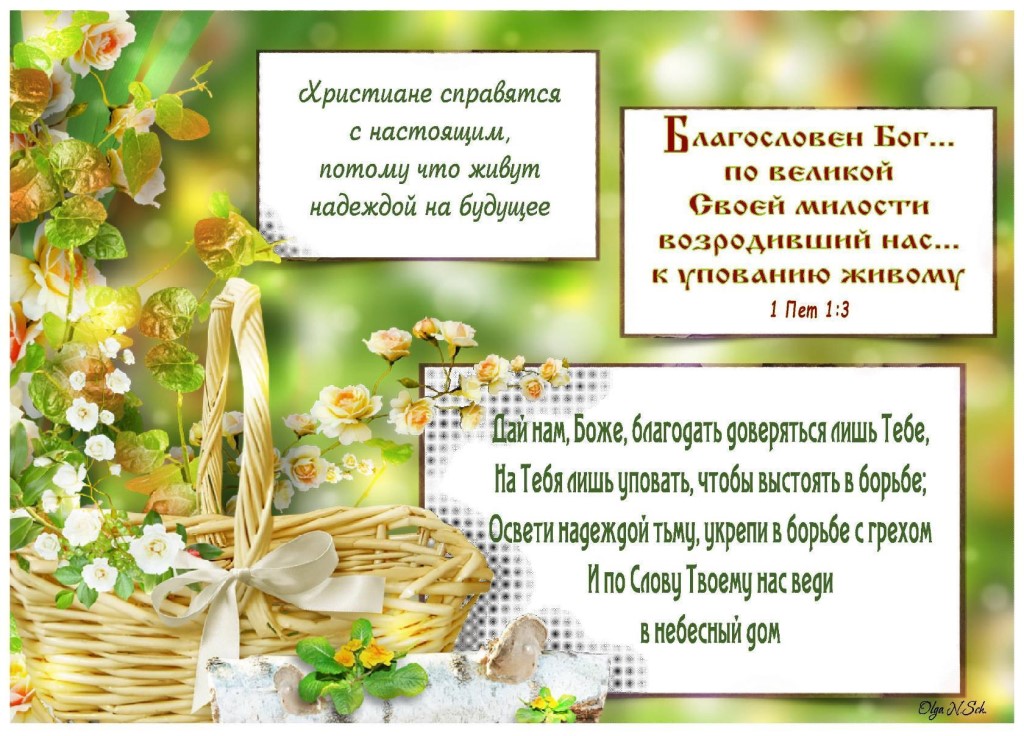 Обижающего и огорчающего тебя пропусти мимо