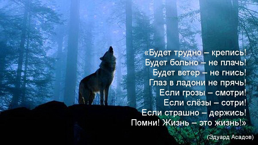 Правило одно