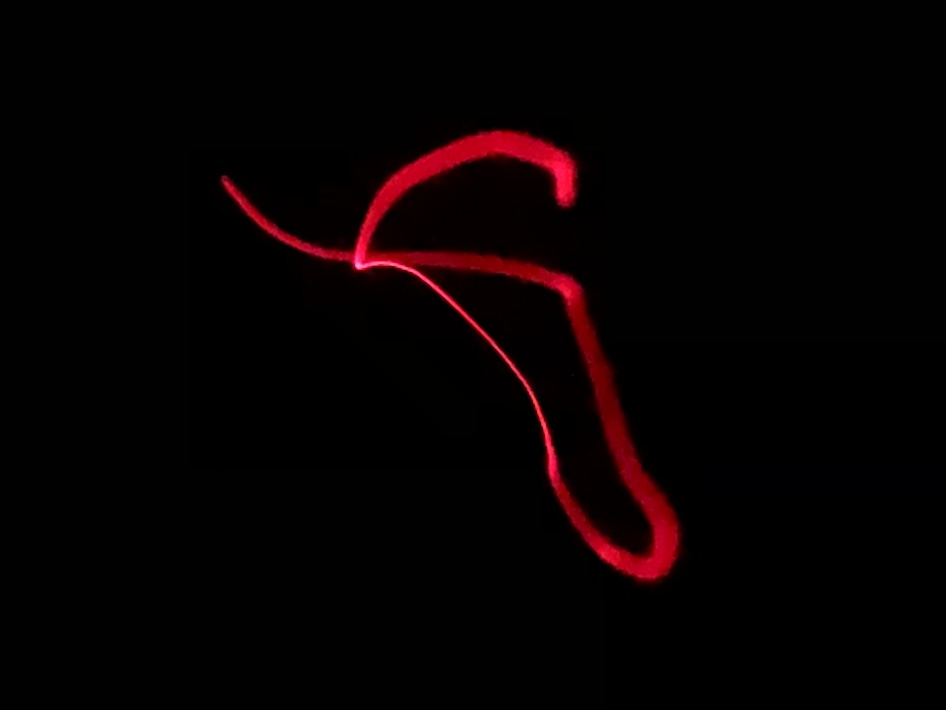 Воину, забытому в поле