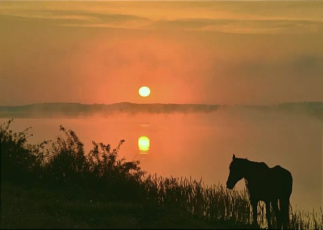 Над лугами туман