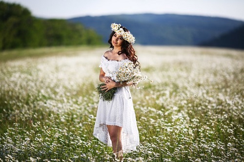 Ромашковый рай