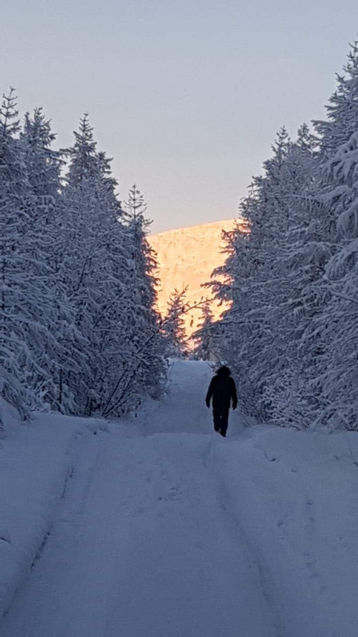 Заповедный мир