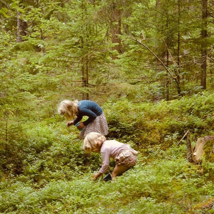 Земляничка