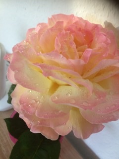 Моей сестренке