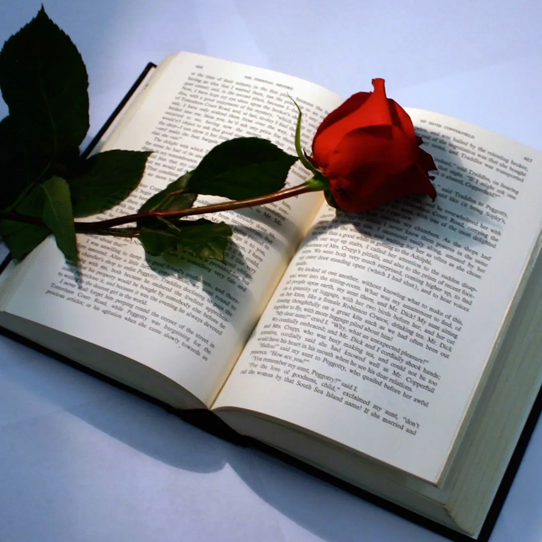 Роза на книге
