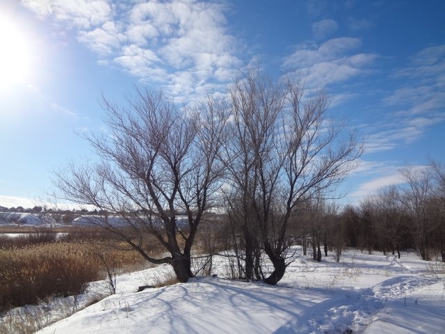 Люд желает какой-то обманной мечты