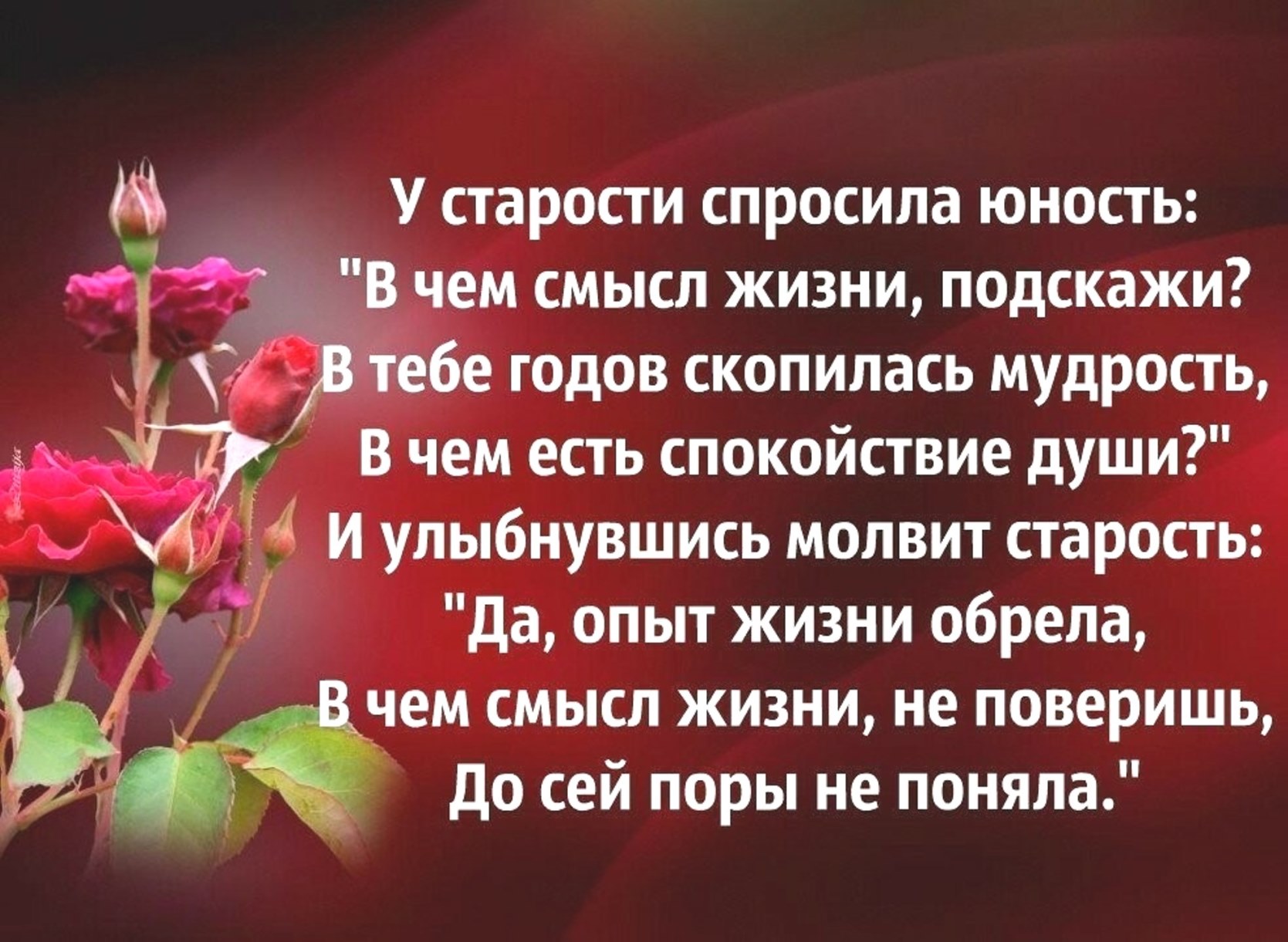 Красивые стихи о жизни
