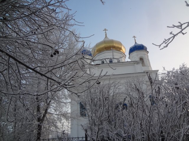 Так что творится в нашей жизни
