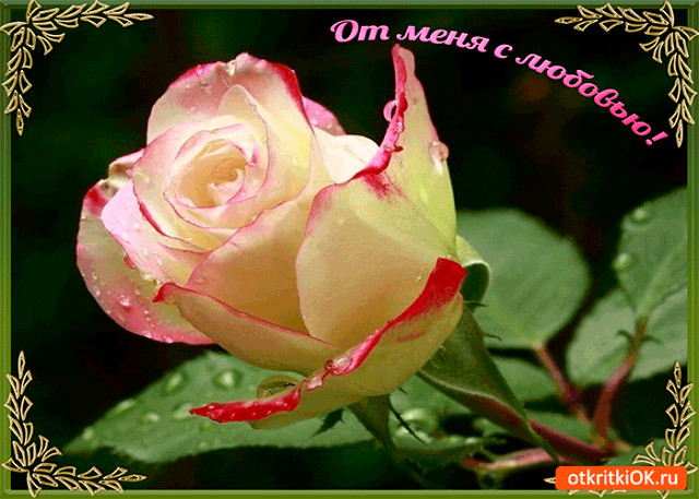 Давайте сохраним