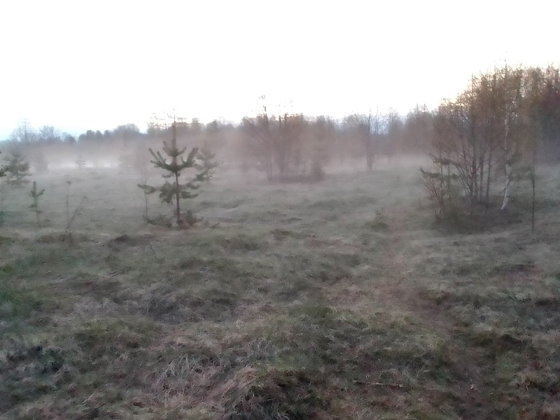 В четыре часа утра...