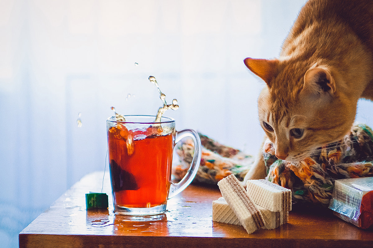 Чай с лимоном и мятой