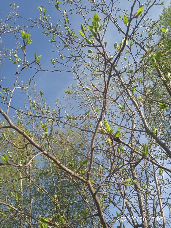 В холодном мае