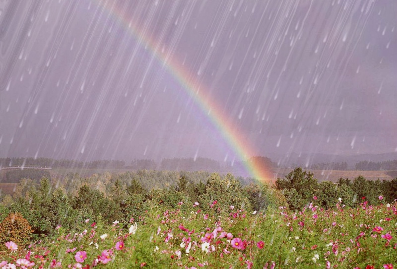 Прогулка с дождём