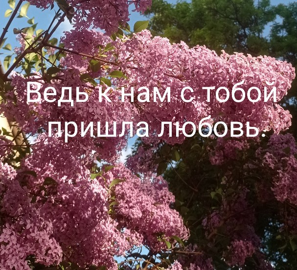 Ведь к нам с тобой пришла любовь