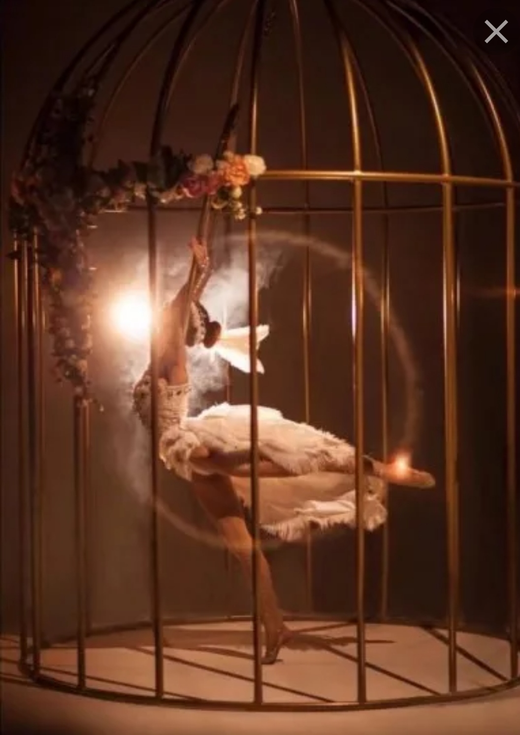 В золотой клетке