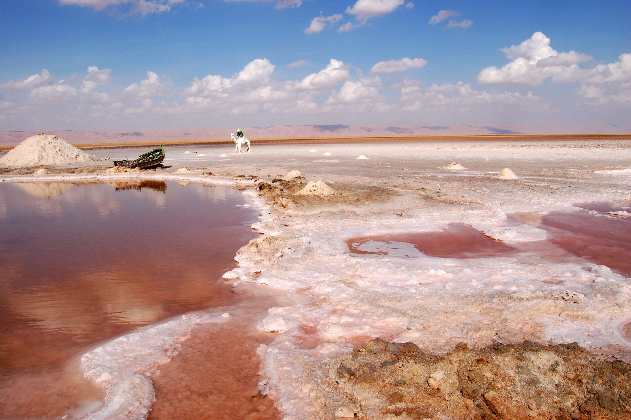 В самых крупных соленых озерах. Озеро Эль-Джерид. Шотт Эль Джерид. Эль Джерид Тунис. Соленое озеро Шотт – Мельгир.