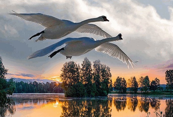 Вдохновение. Обратный акростих