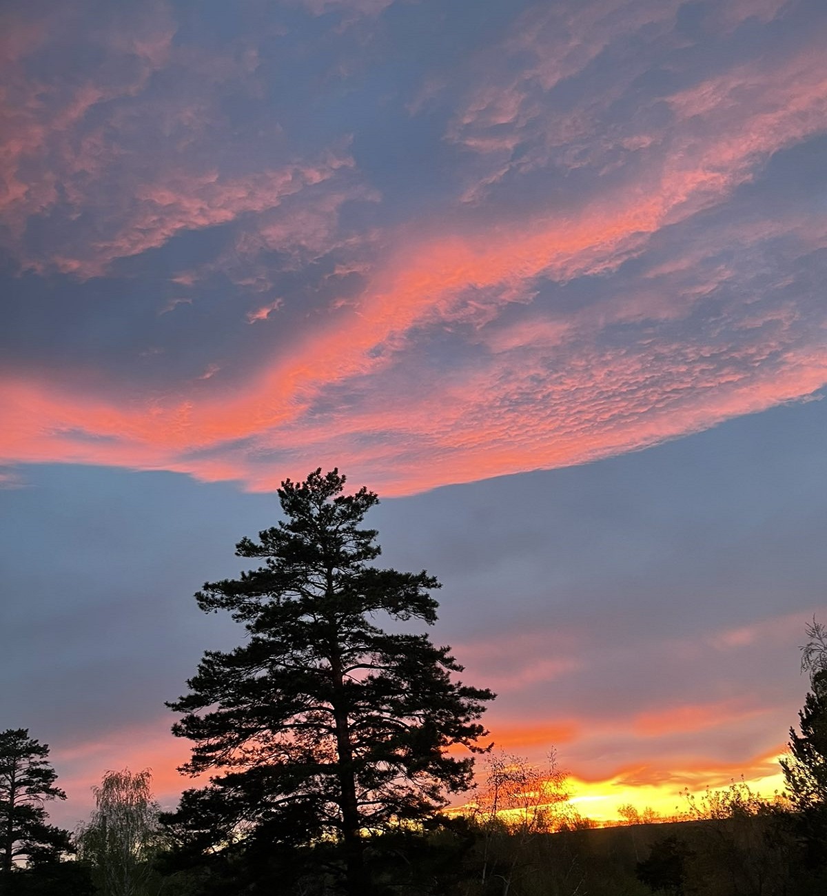 Словно дар благословеннья