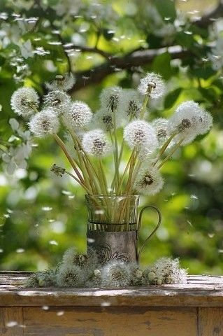 Одуванчик, стакан, подстаканник...