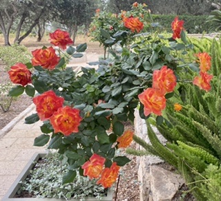 Спец. поговорки