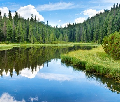 Берега юности