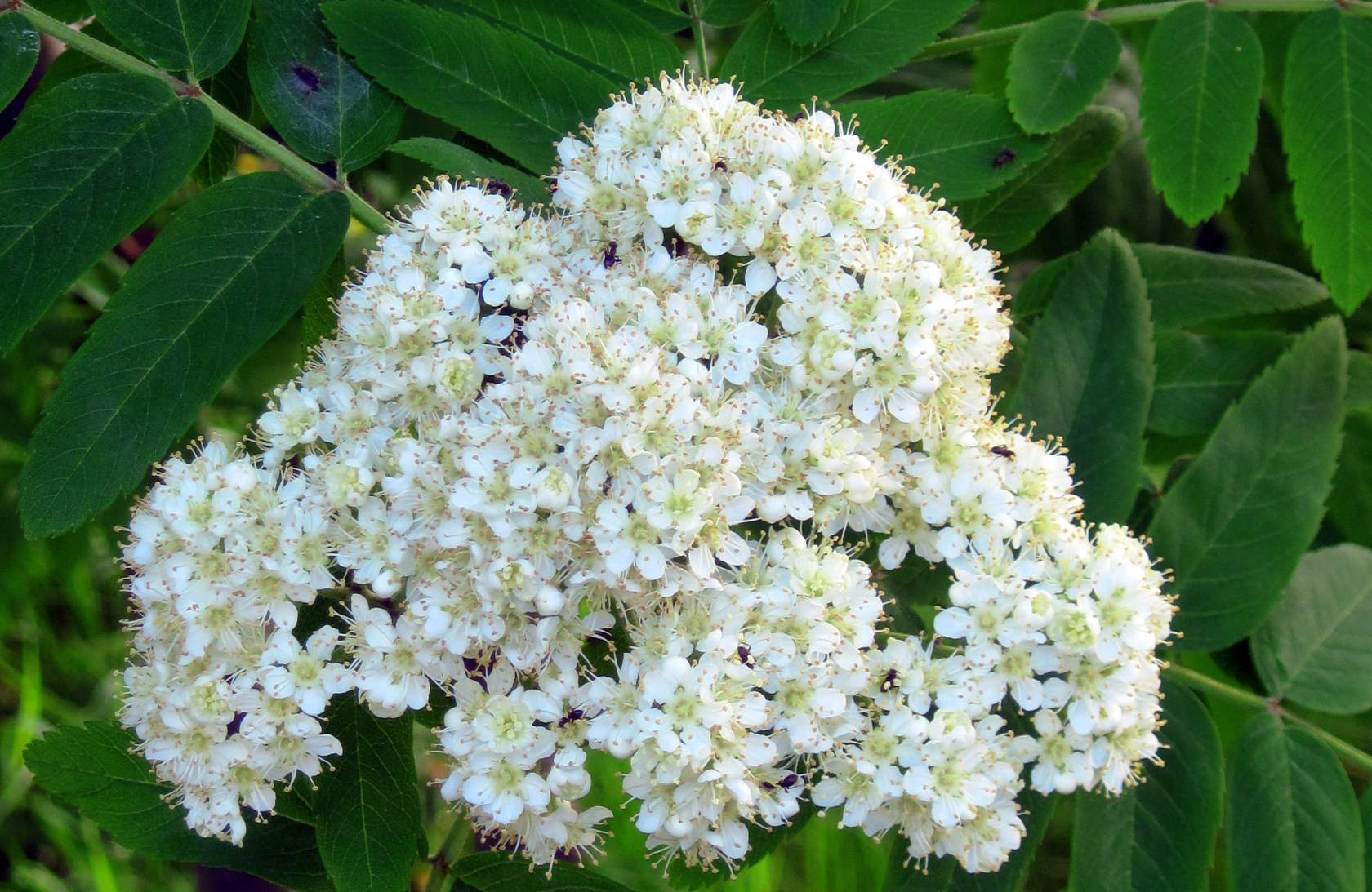 Помни, испытания - каждому свои!