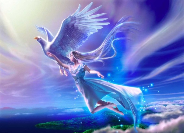 Под взмахом Крыла