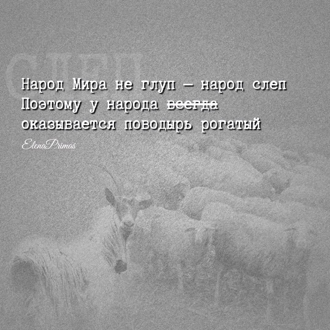 Народ Мира Не Глуп- Народ Слеп?