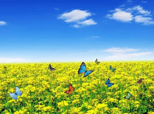 Июньский день - начало лета