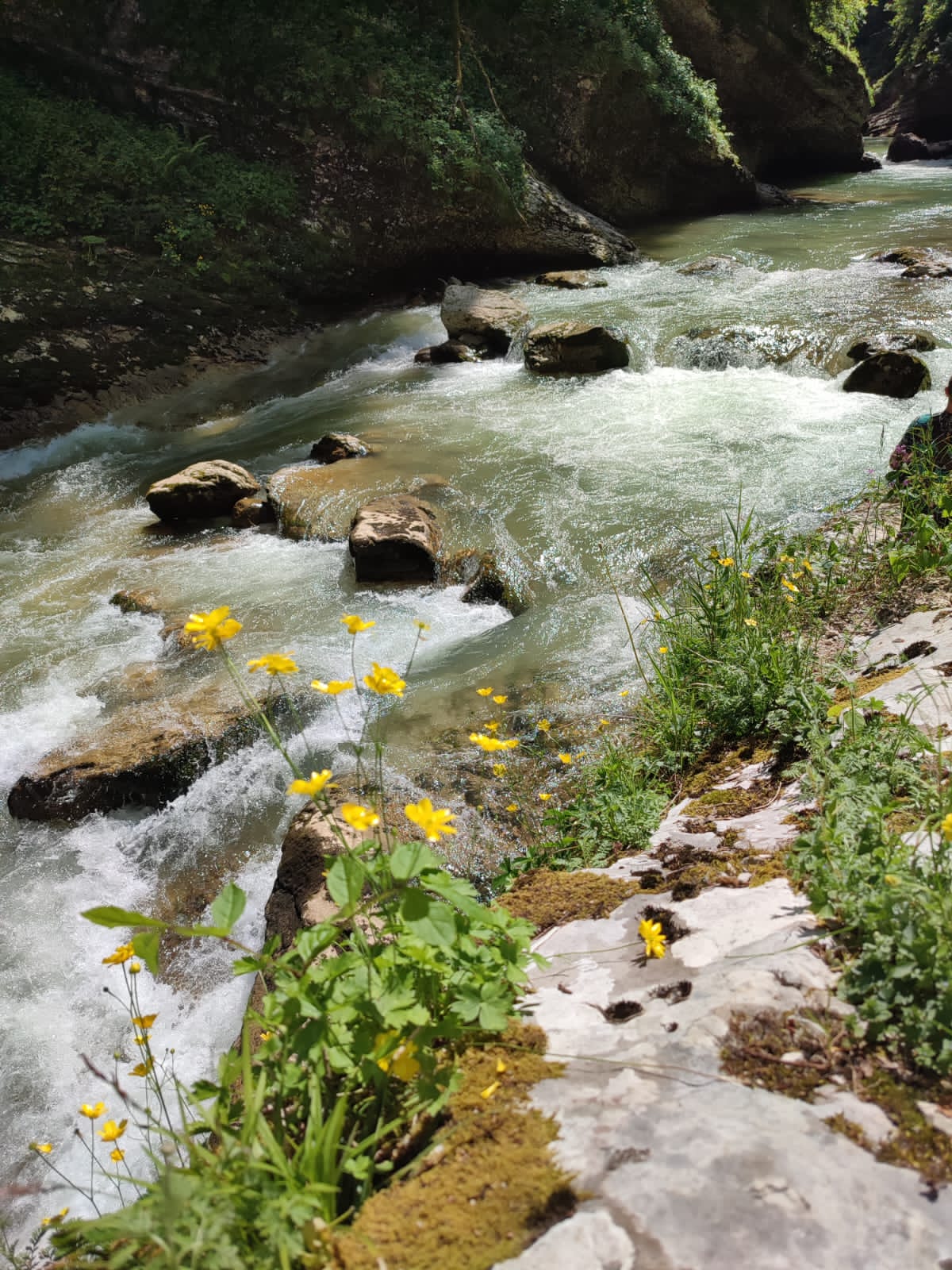 Воронцовочка