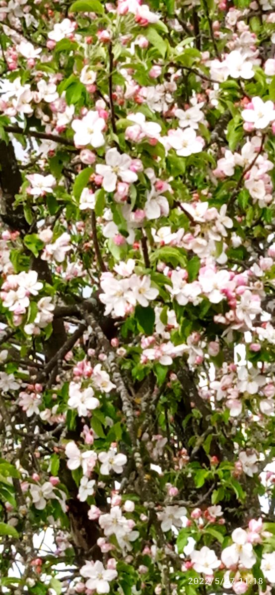 Денёк другой