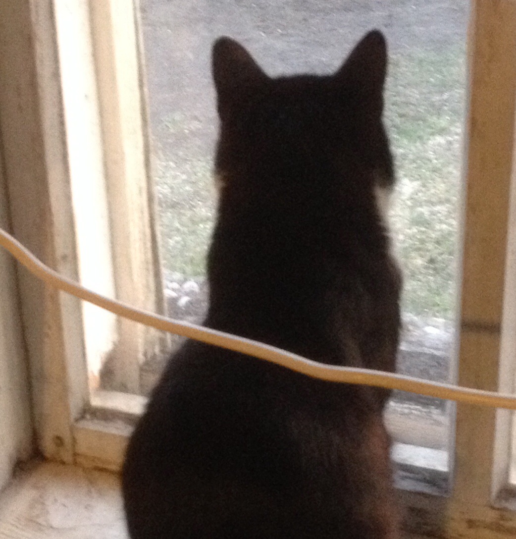 Видно, кто папаша...