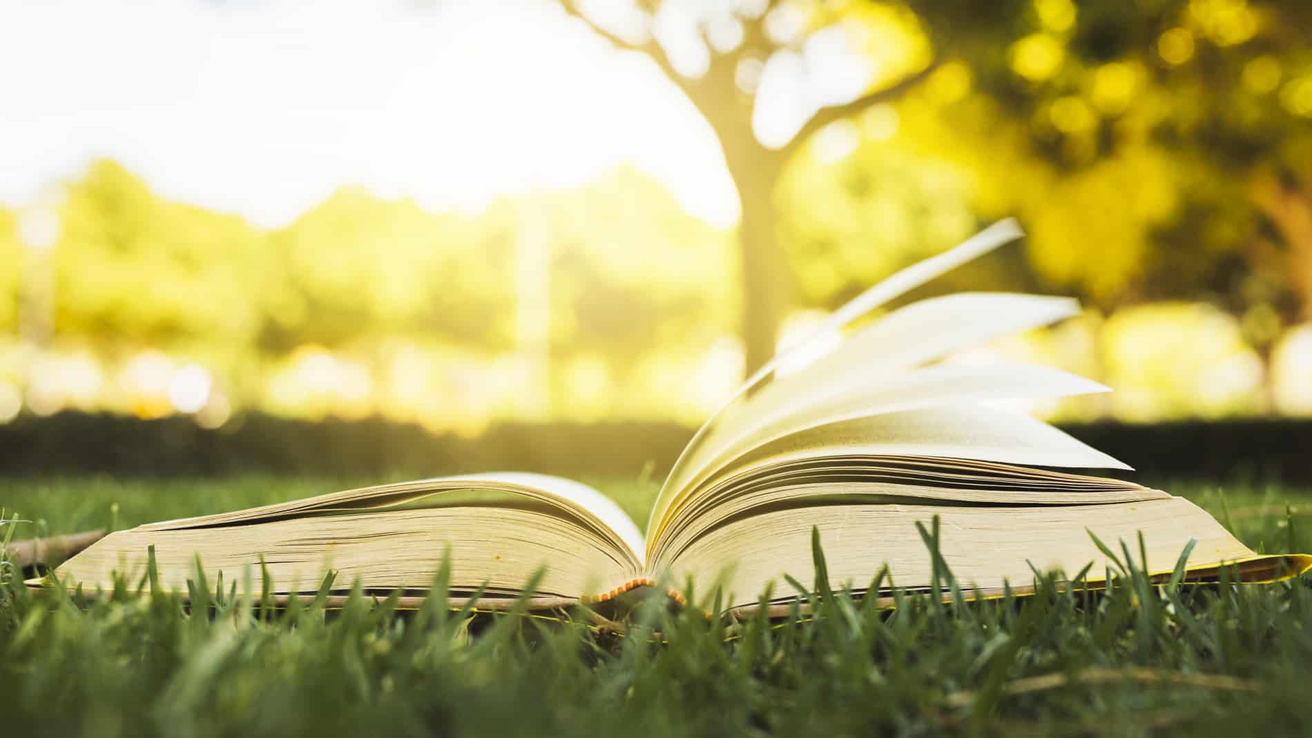 Книга природа