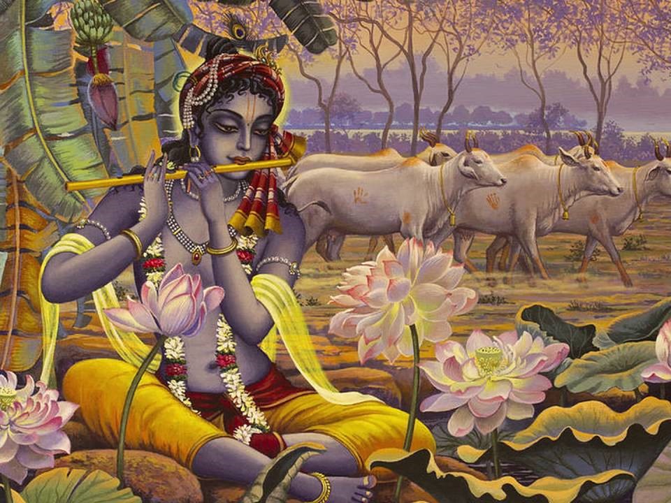 Новорождённому в лотосе