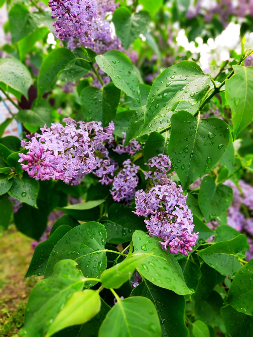 Дождь прошёл