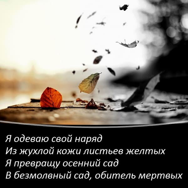 Я ветер, я властелин ночи и тьмы