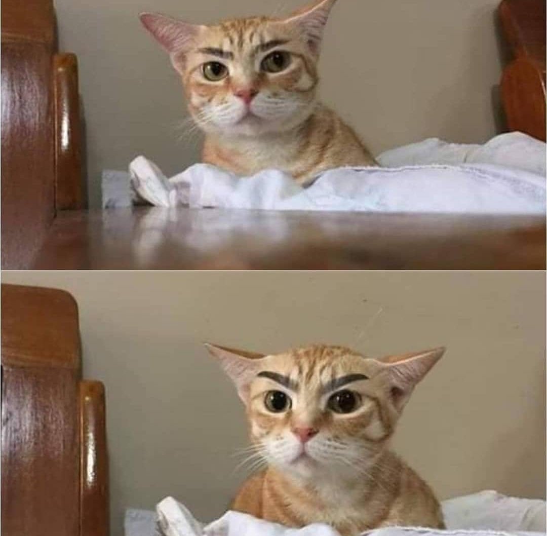 А, может, снимут..