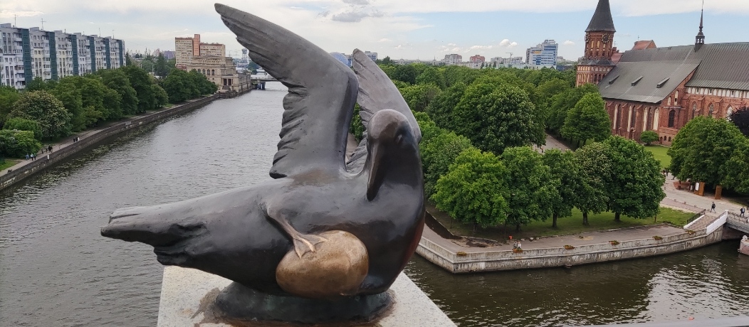 Птица счастья
